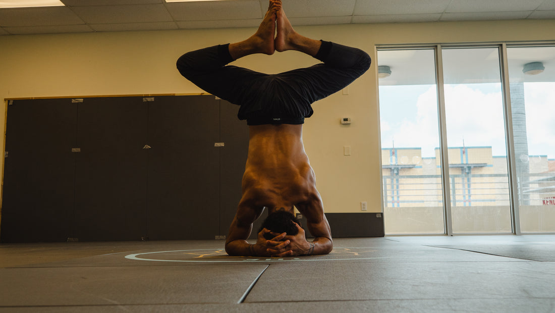 Alex Caceres + Kadour Ziani Training in The Dojo Pant