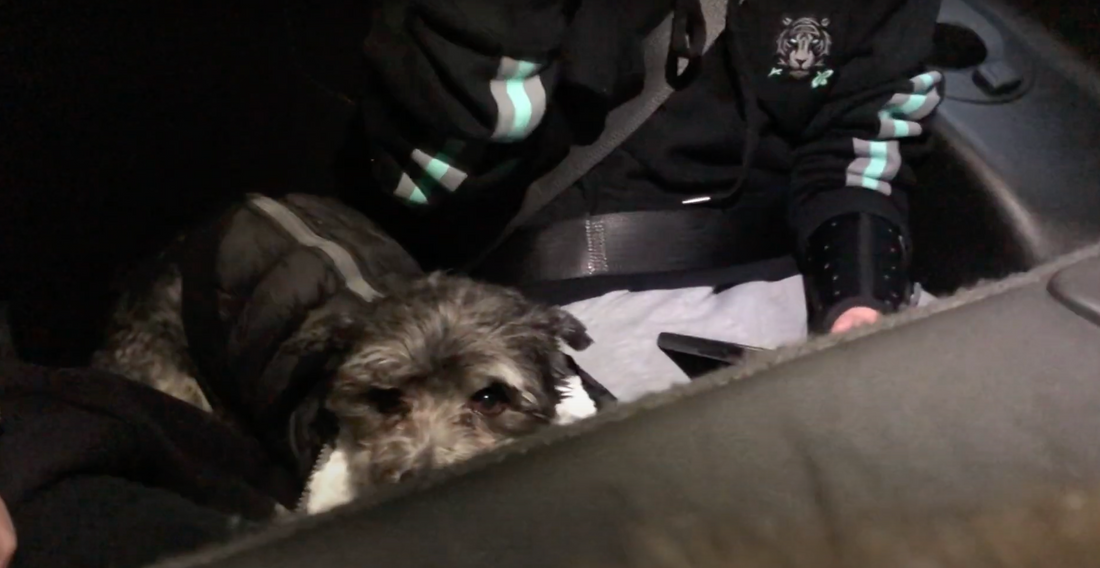 The Heavyweight Hoodie available now!