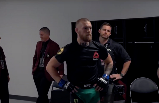 The Greatest Year In MMA History