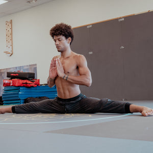 The Dojo Pant